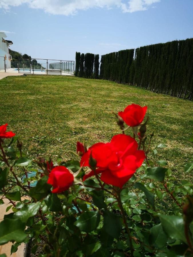 베날마데나코스타 Dana I Eurogolf, Vistas, Wifi, Piscina Y Parking 아파트 외부 사진